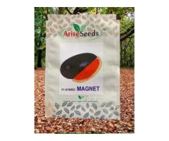 Arise Seeds