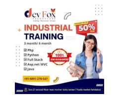 devFox Technology